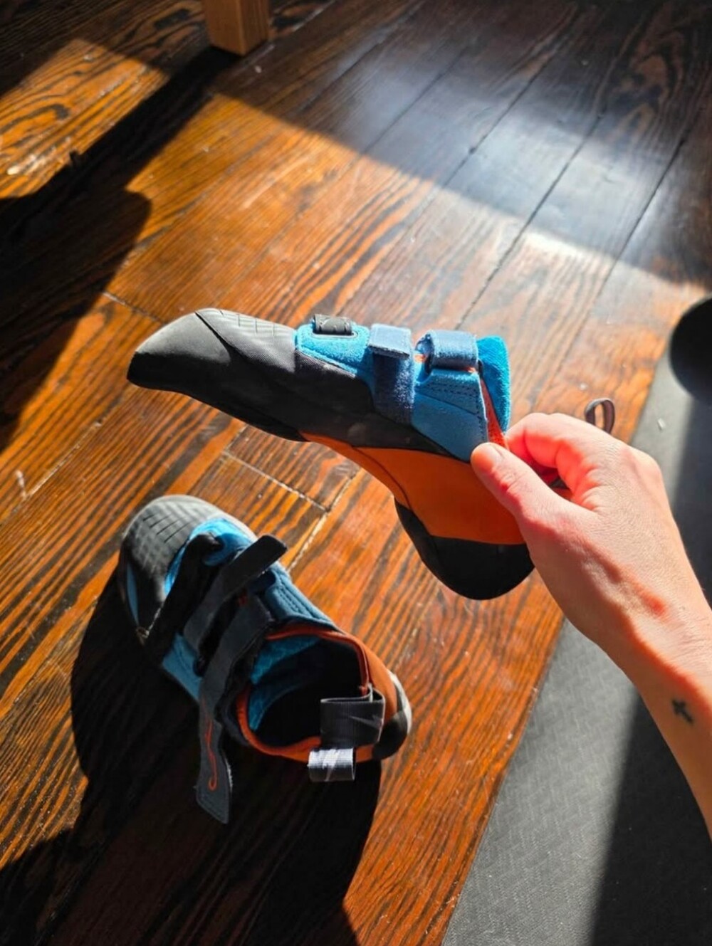 Brand New Evolv Climbing Shoes EU 37.5